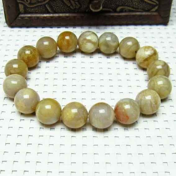 珊瑚 フォッシルコーラル ブレスレット 11mm [M便 1/10] 111-1420