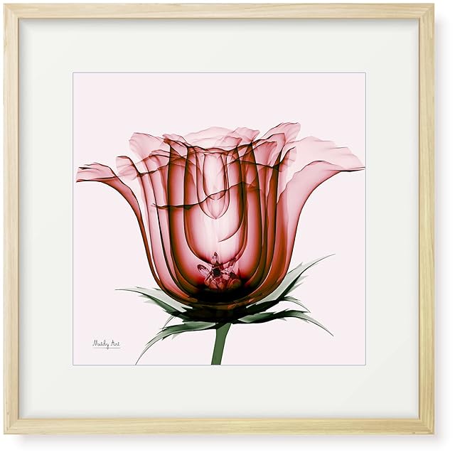 rose＊半抽象画＊八つ切りサイズ額装水彩画＊原画 | Pay ID