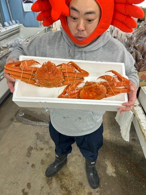 北海道産　茹でたてずわい蟹　大サイズ500g２尾【送料・箱代無料】