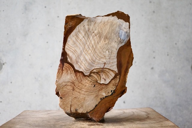 ビッグス・ジャスパー　Biggs Jasper 749