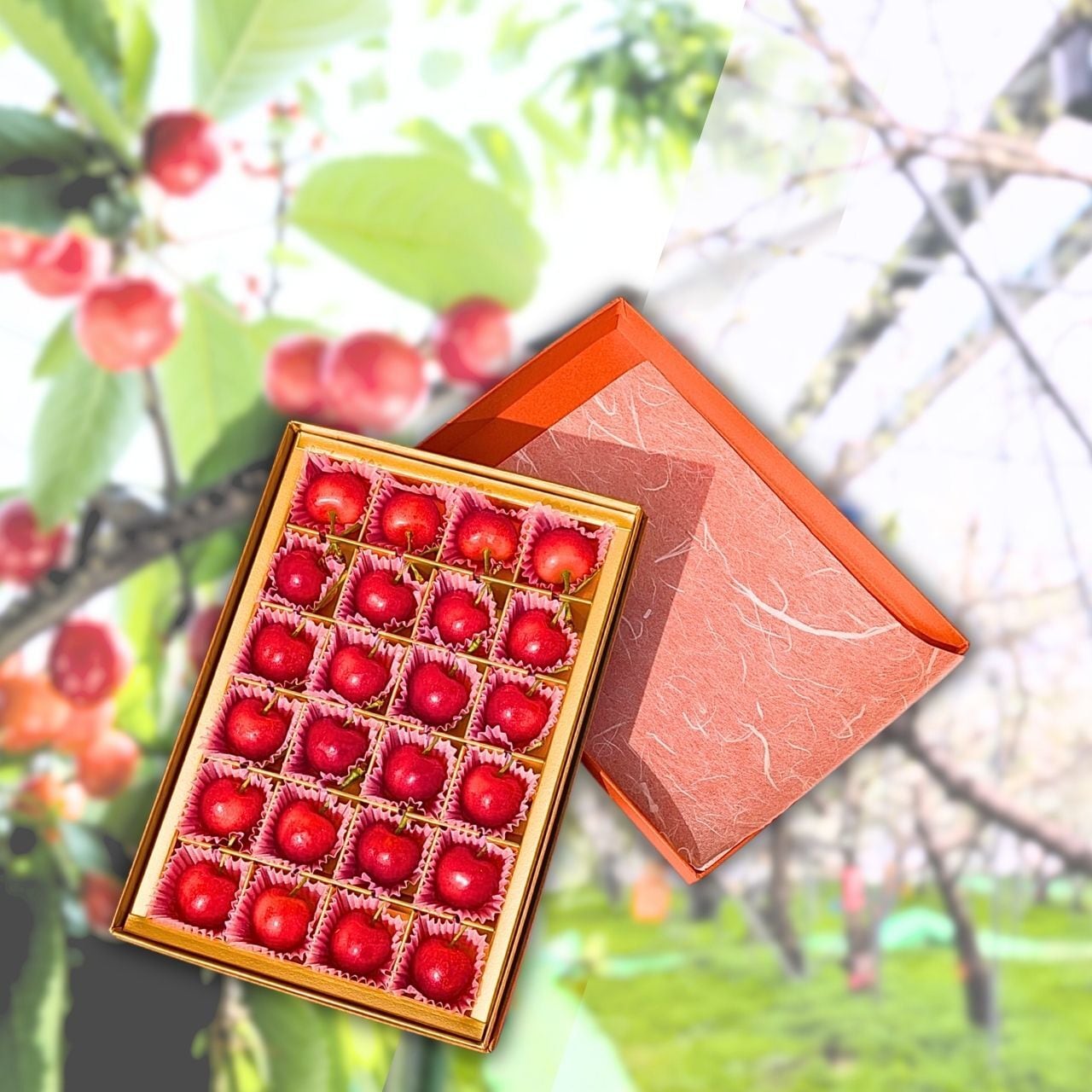 山形のうまいもの（食品） | すとスト 創業128年 Since1897 位牌 線香