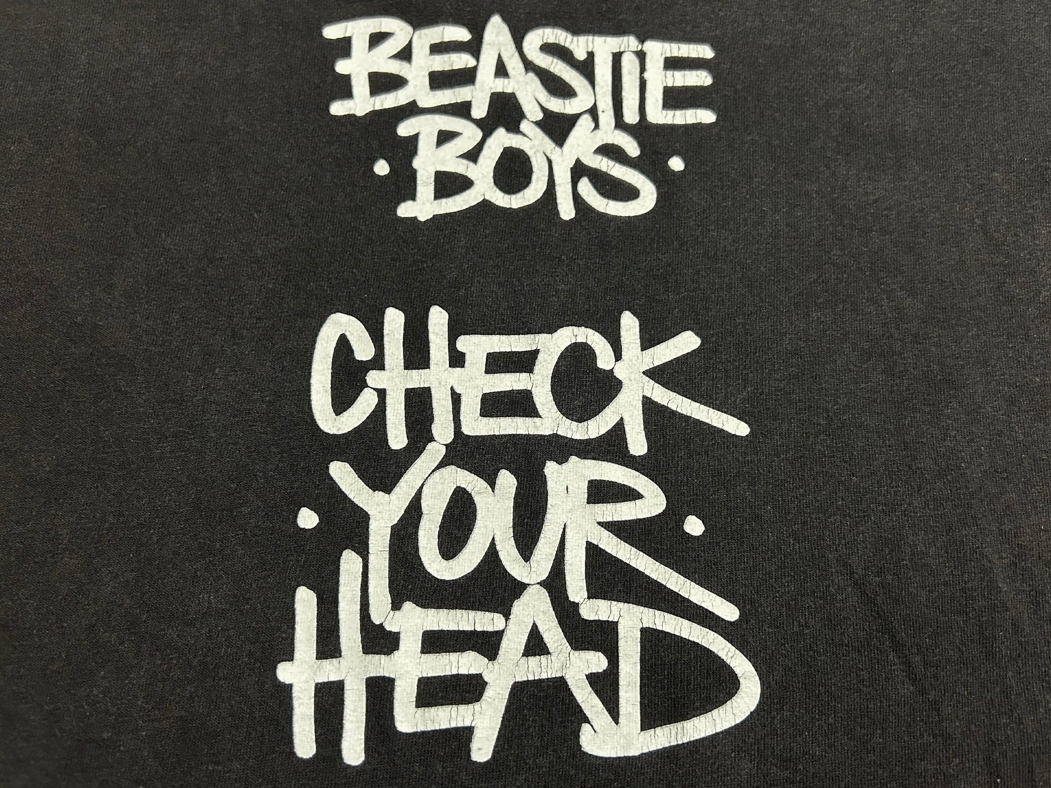 90s BEASTIE BOYS ビースティーボーイズ '92 CHECK YOUR HEAD T 90s BEASTIE BOYS ビースティーボーイズ '92 CHECK YOUR HEAD T