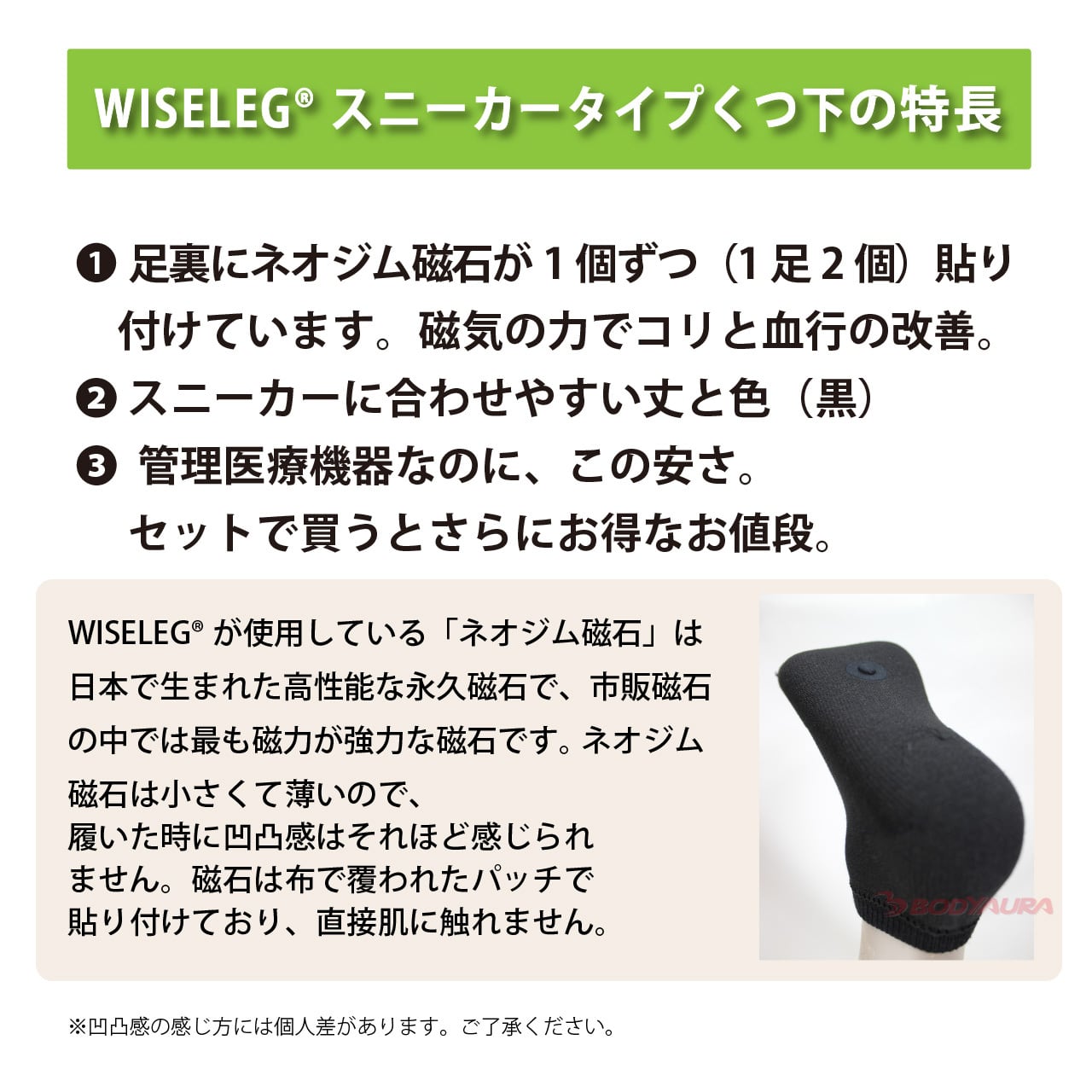 送料込み【管理医療機器】マグネットフットケアーWISELEG(ワイズレック