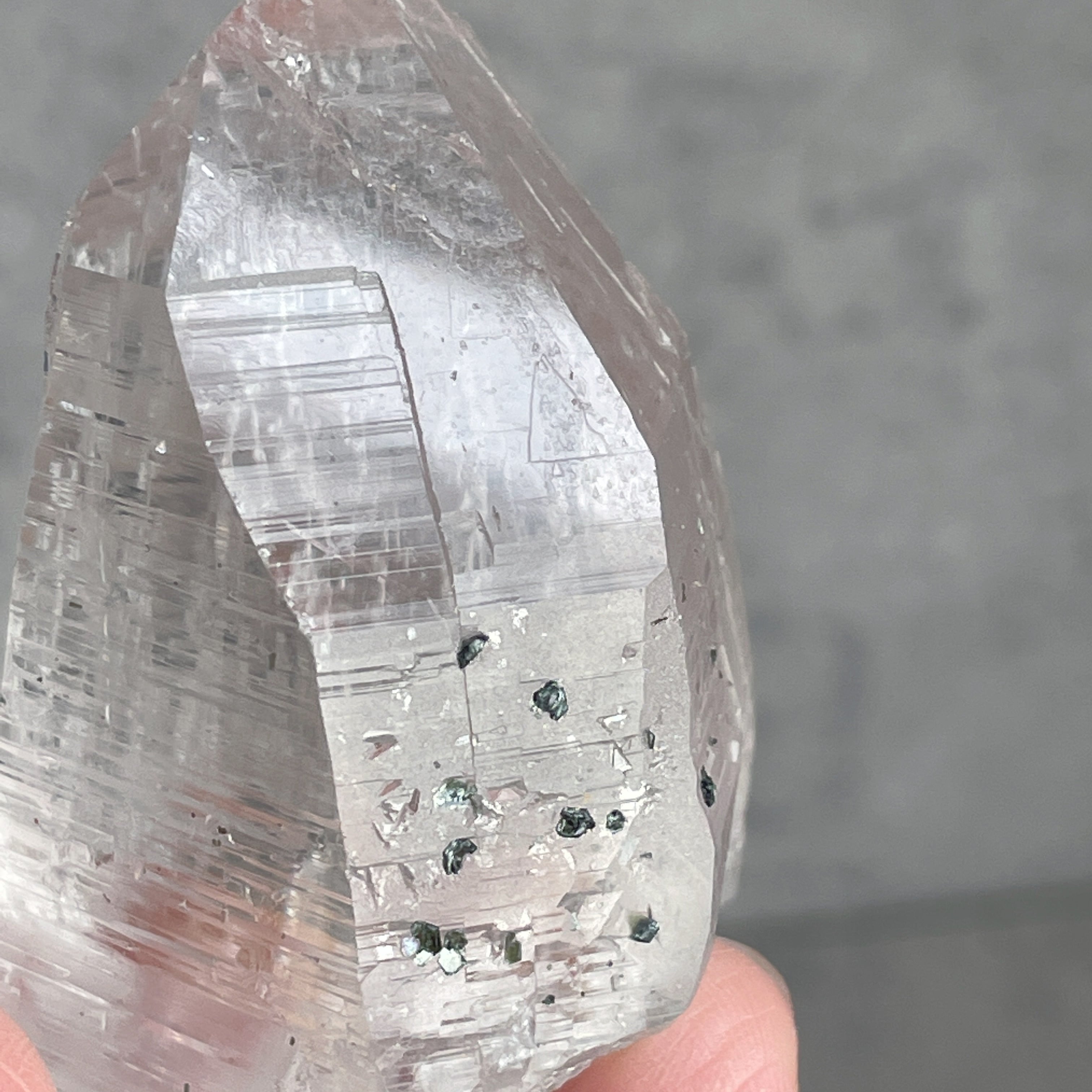 レコードキーパー有△ ティップリン産 ガネーシュヒマール ヒマラヤ