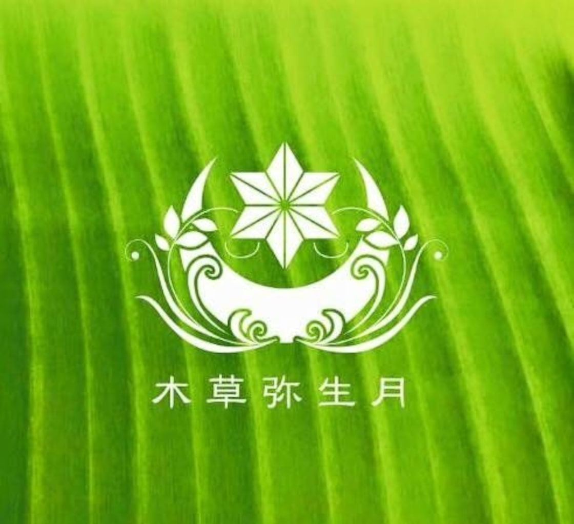 藍染】【グラデーション染め】【ヘンプコットン 収縮素材】一枚のみ 