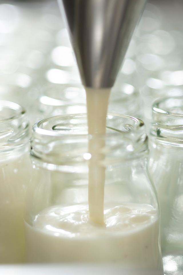 11月7日発送分　船方農場ファームチーズプリン・かためセット