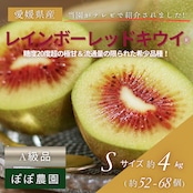 【産地直送】レインボーレッドキウイ Sサイズ 約4kg(約52〜68個)