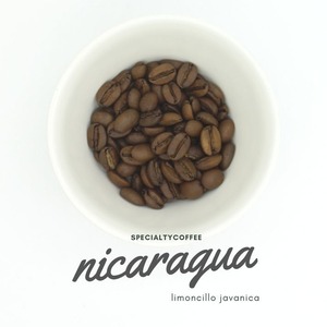Nicaragua limoncillo javanica 400g コーヒー豆　ニカラグア リモンシージョ ジャバニカ 浅煎り