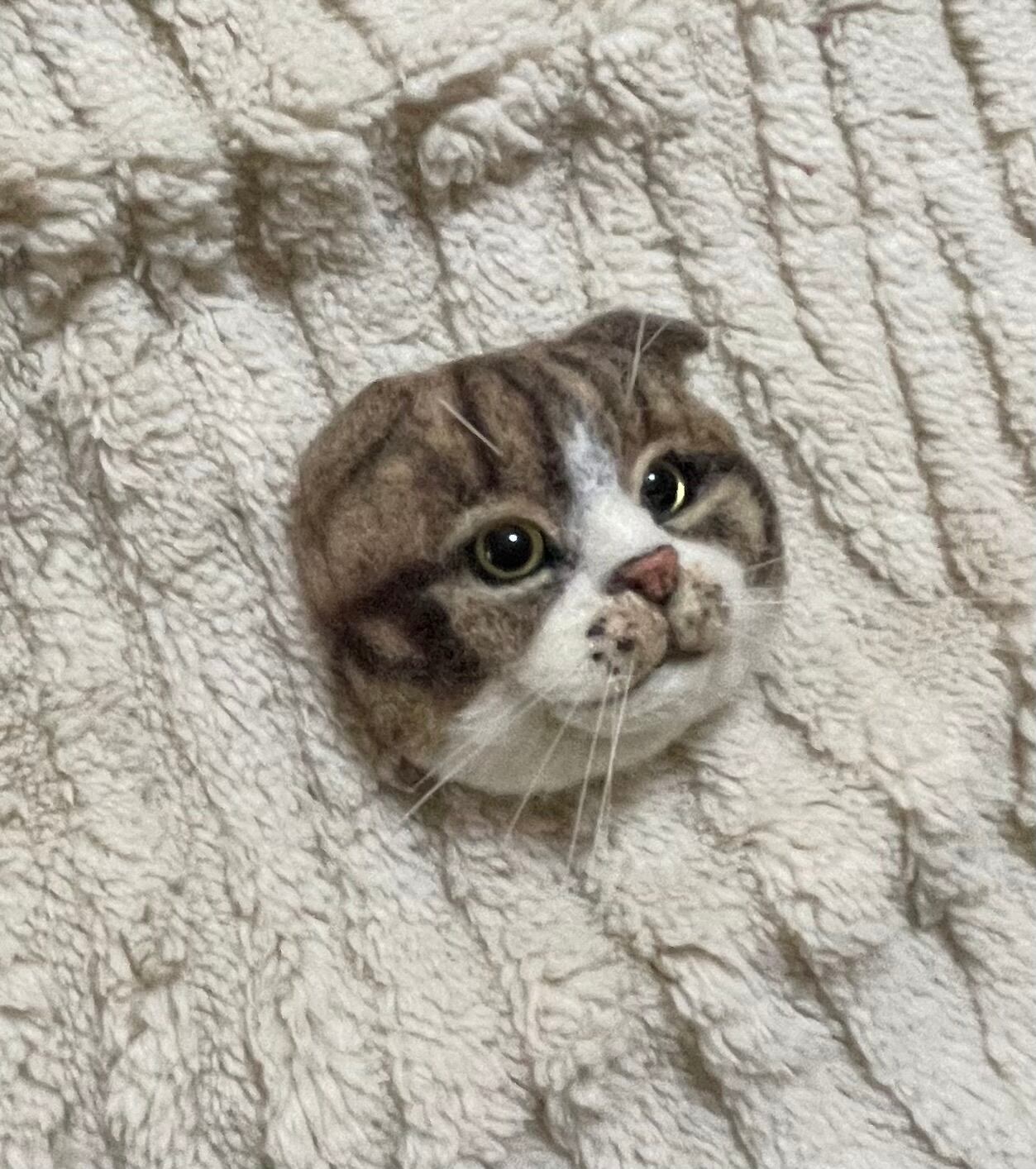 羊毛フェルト リアル可愛いスコティッシュフォールド 猫 ブローチ ゆ