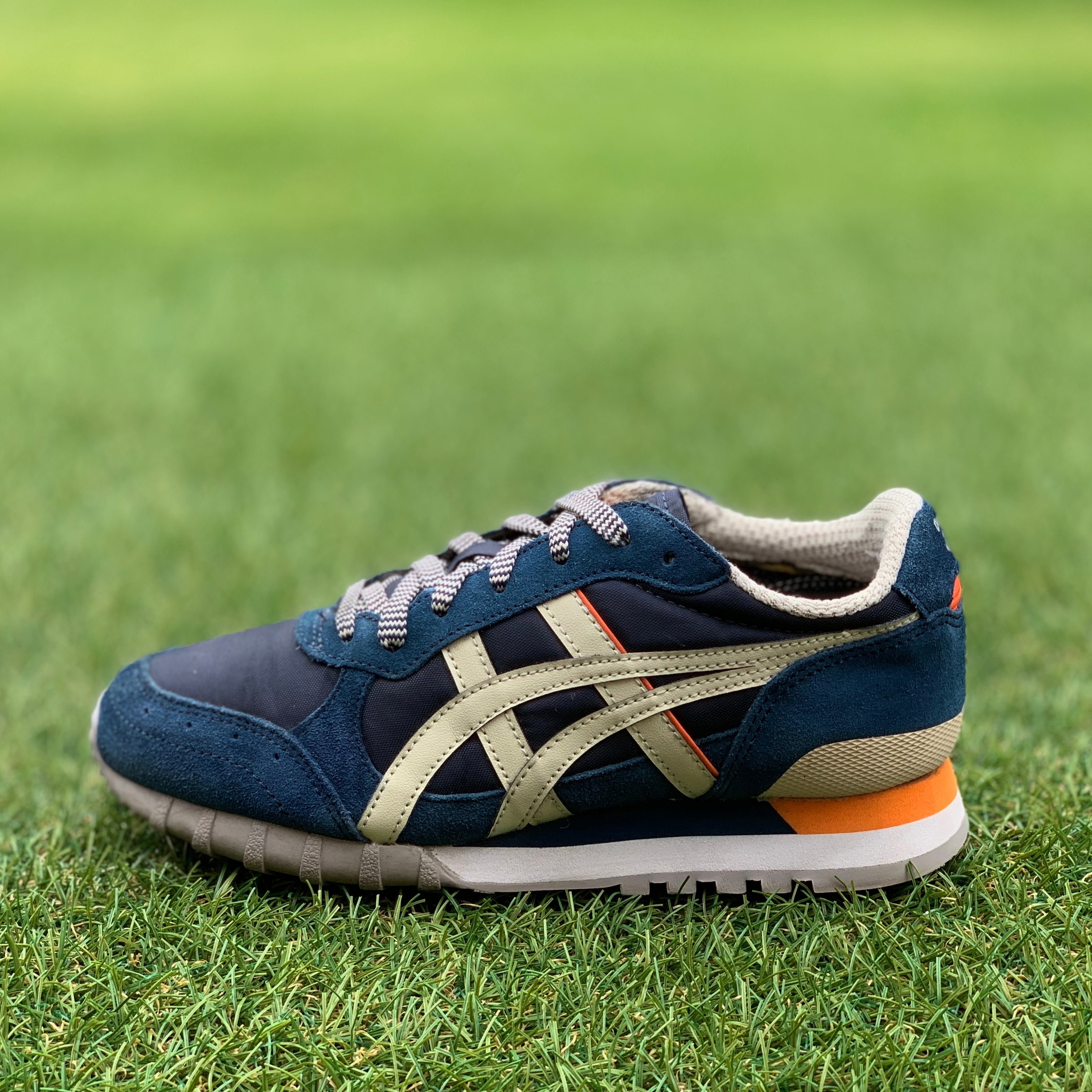 ASICS バスケットボールシューズ 25.0cm Onitsuka Tiger COLORADO EIGHY-FIVE オニツカタイガー コロラド