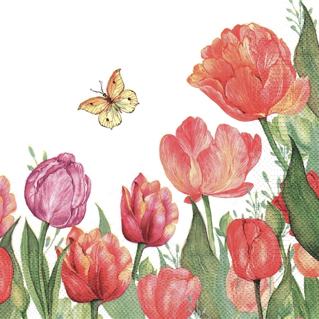 2024春夏【Daisy】バラ売り2枚 ランチサイズ ペーパーナプキン Watercolour Tulips with Yellow Butterfly ホワイト