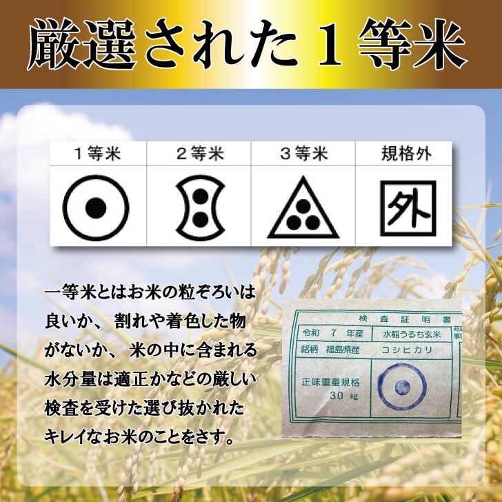 令和7年産 玄米 福島県産 こしひかり 25㎏ | みずほ食糧