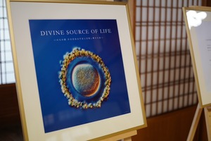 「いのちの源」　DIVINE SOURCE OF LIFE