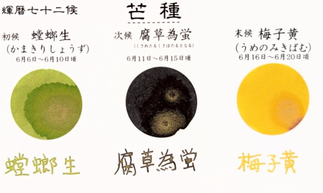 呉清源　真筆　「適情養性」 ラメ入り】輝暦七十二候「芒種3色セット」 | 万年筆とインクの専門店