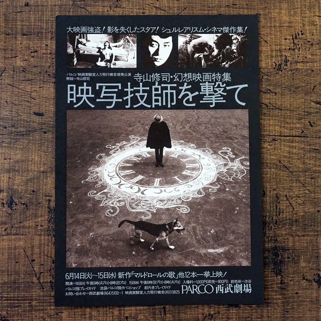 チラシ | タイムカプセル