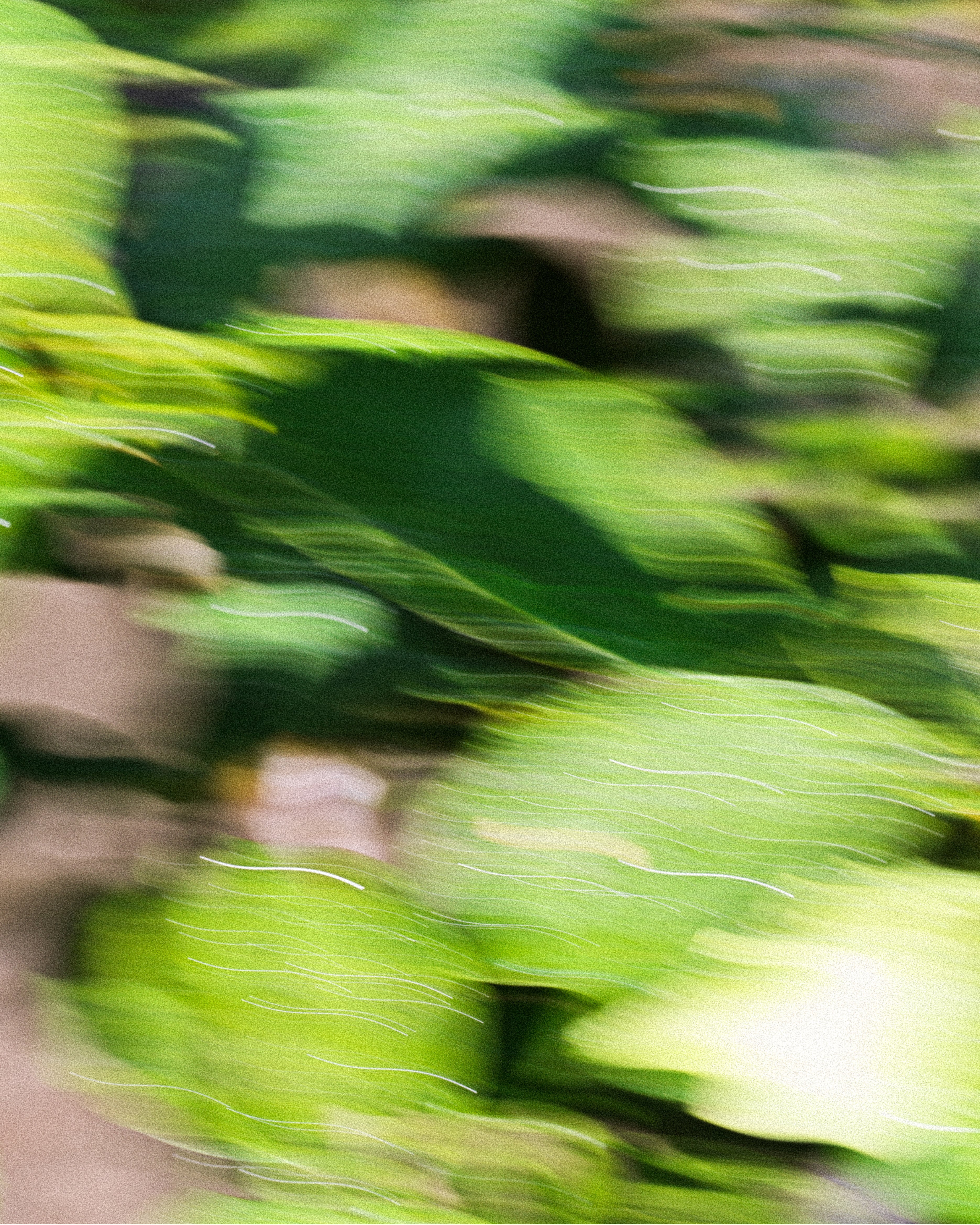 Oddity - Resonant | THREE / ISSUE / CURVE