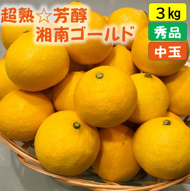 送料無料　超熟☆芳醇・湘南ゴールド（L・２Lサイズ）３ｋｇ