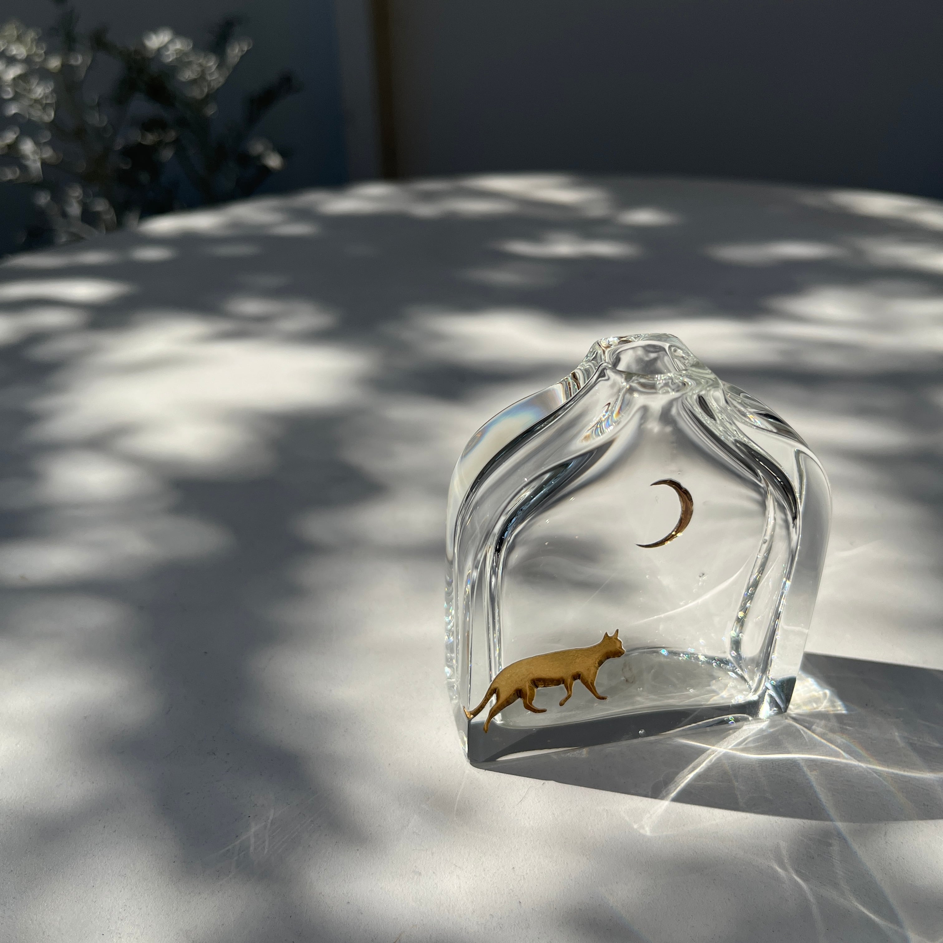 時澤真美　グラスセット 時澤真美 グラスセット 店頭販売のお知らせ 当日のご案内になって