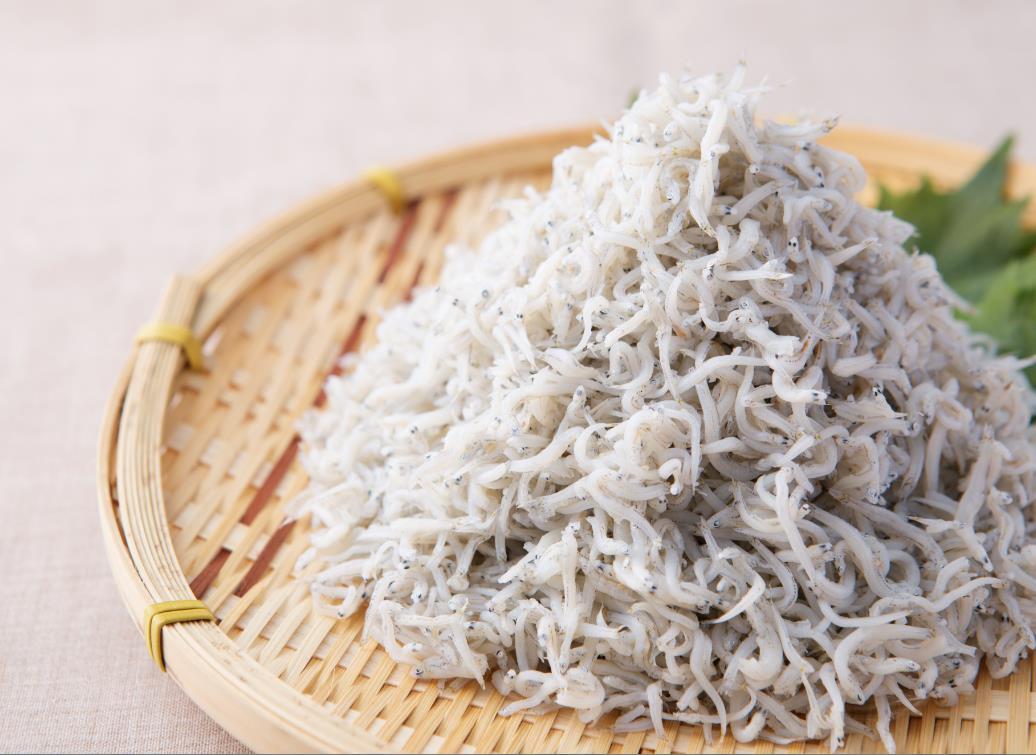 【愛知県日間賀島】日間賀島産しらす(500g)