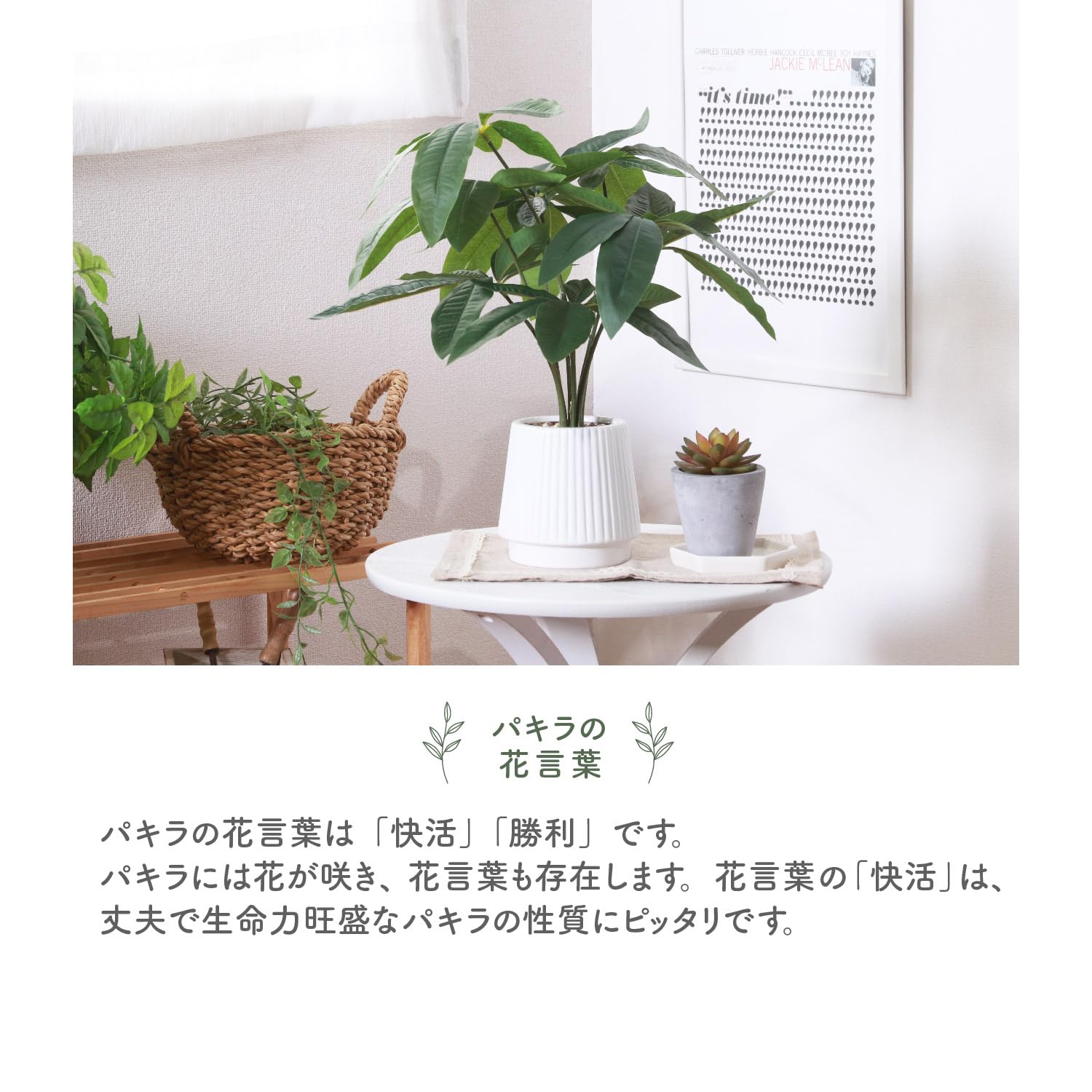 不二貿易 フェイクグリーン インテリアグリーン 人工観葉植物 幅44