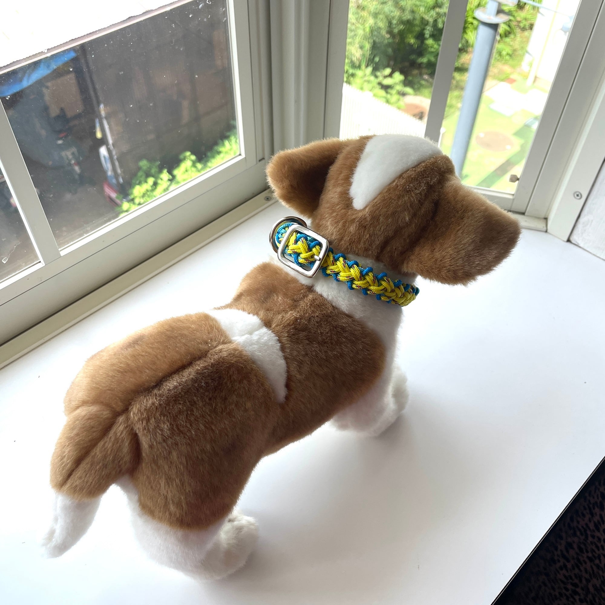 公式]パラコード編み犬首輪#267バレリア編みカラフル小型犬首輪 | 犬猫