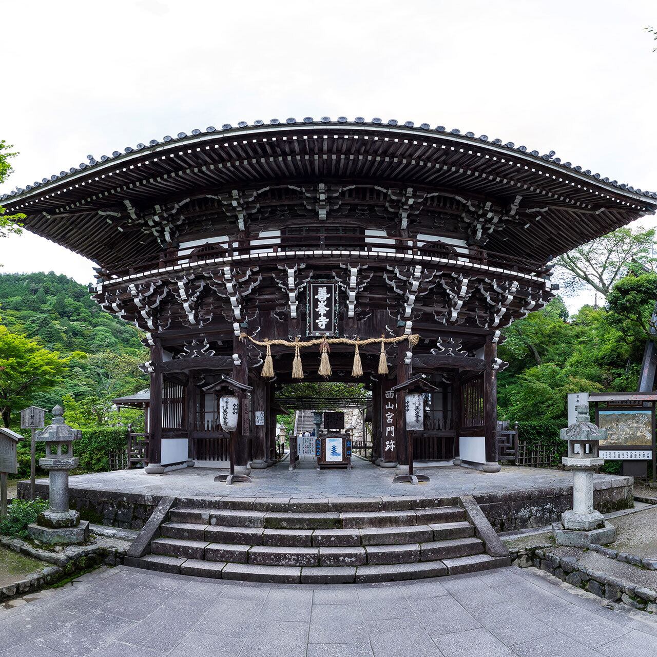 あじさいが咲き乱れる新緑の善峯寺