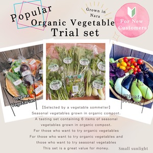 【Nara prefecture production】Popular organic vegetable tasting set