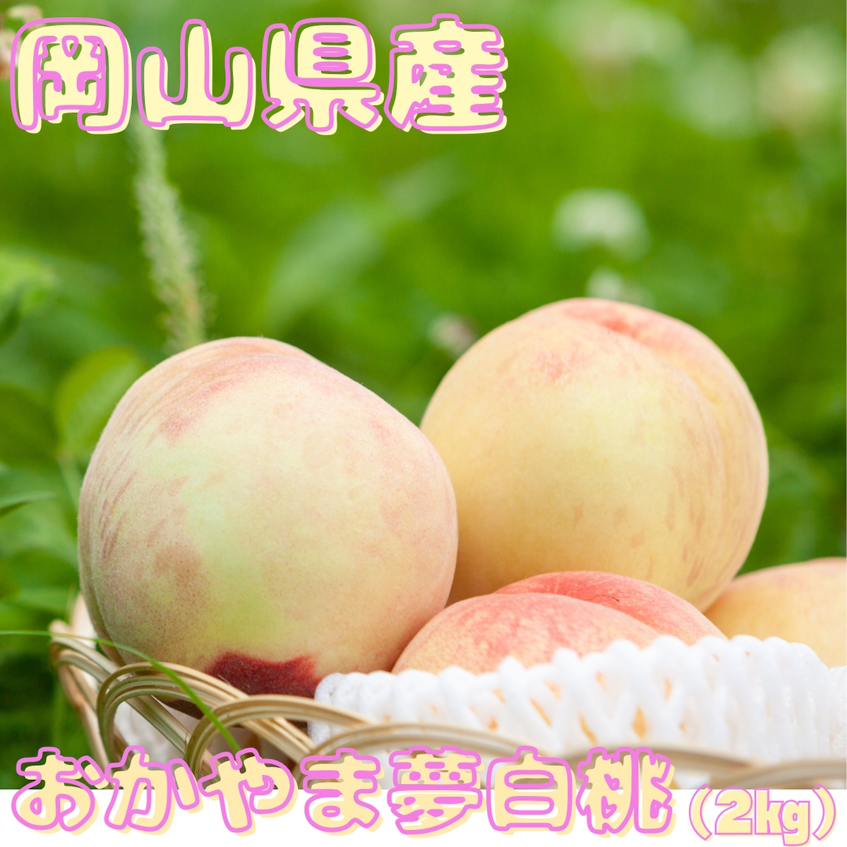 岡山県産】【贈答用】【産地直送】 おかやま夢白桃〈2㎏〉6玉～8玉