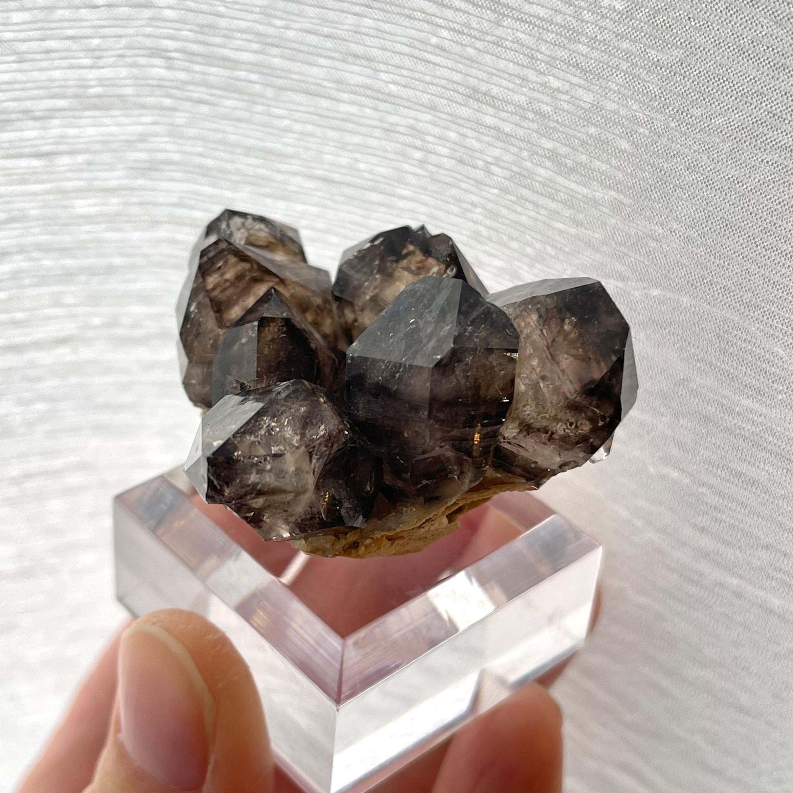 スモーキークォーツ【Smoky Quartz】オーストラリア産 | PEANUTS MINERALS