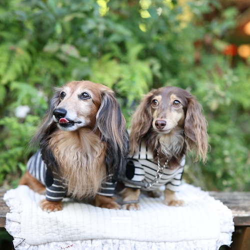 ボーダーフーディ / エルボーパッチ