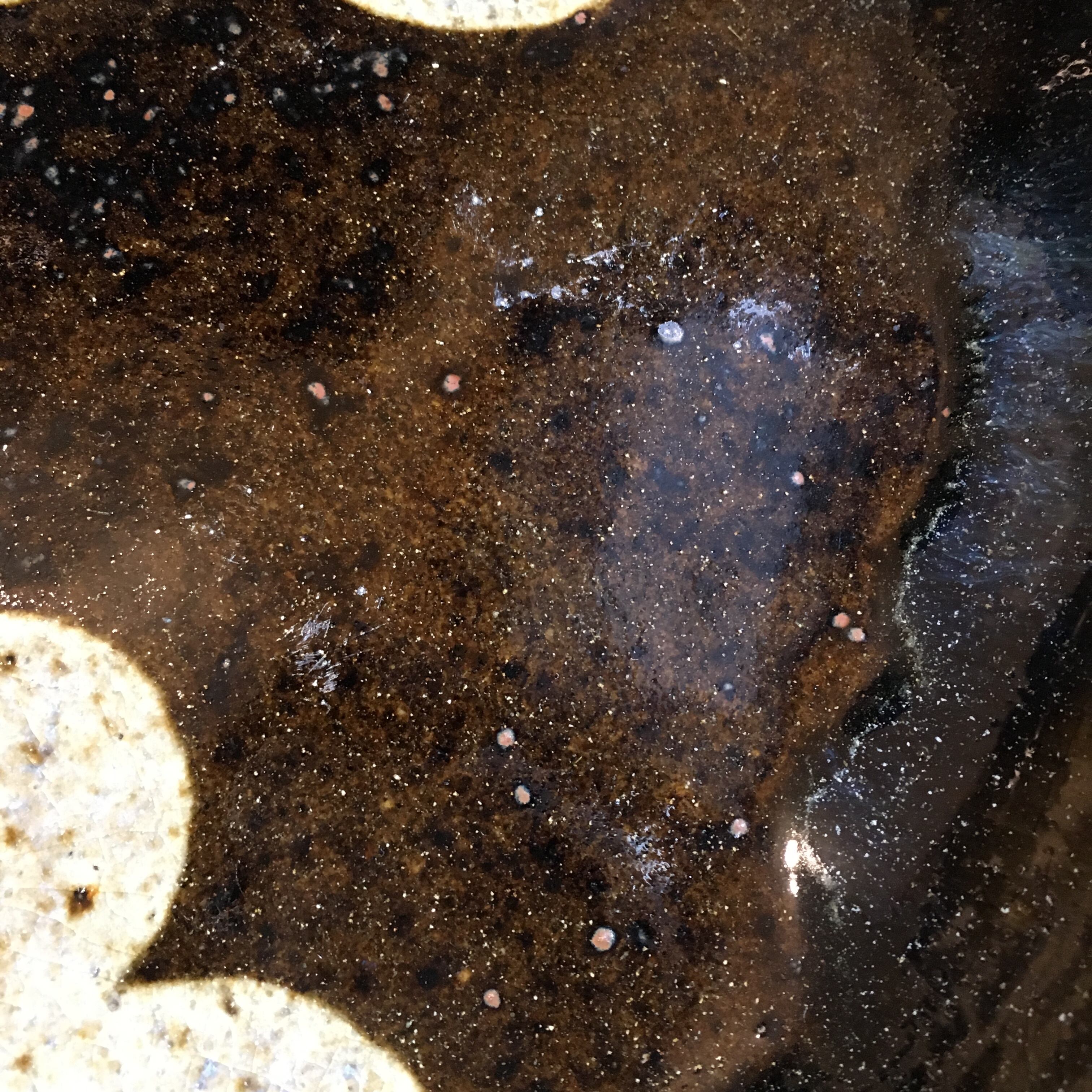 練上鉢] 勝久 | www.tspea.org