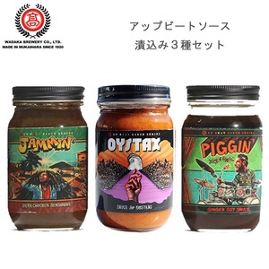 アップビートソース 漬込み 3種セット 新感覚 調味料 和高醸造