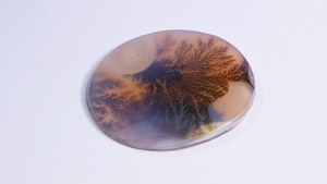 YouTube176-9 デンドリックアゲート［ブラジル産］