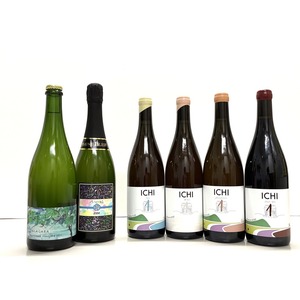 日本ワイン【北海道セレクション】最新6本セット☆
