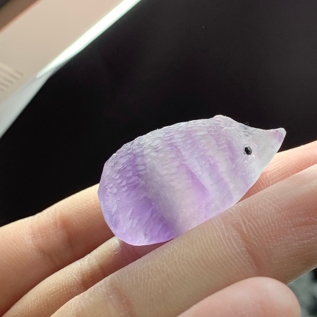 79双子ちゃんフローライトハリネズミさん