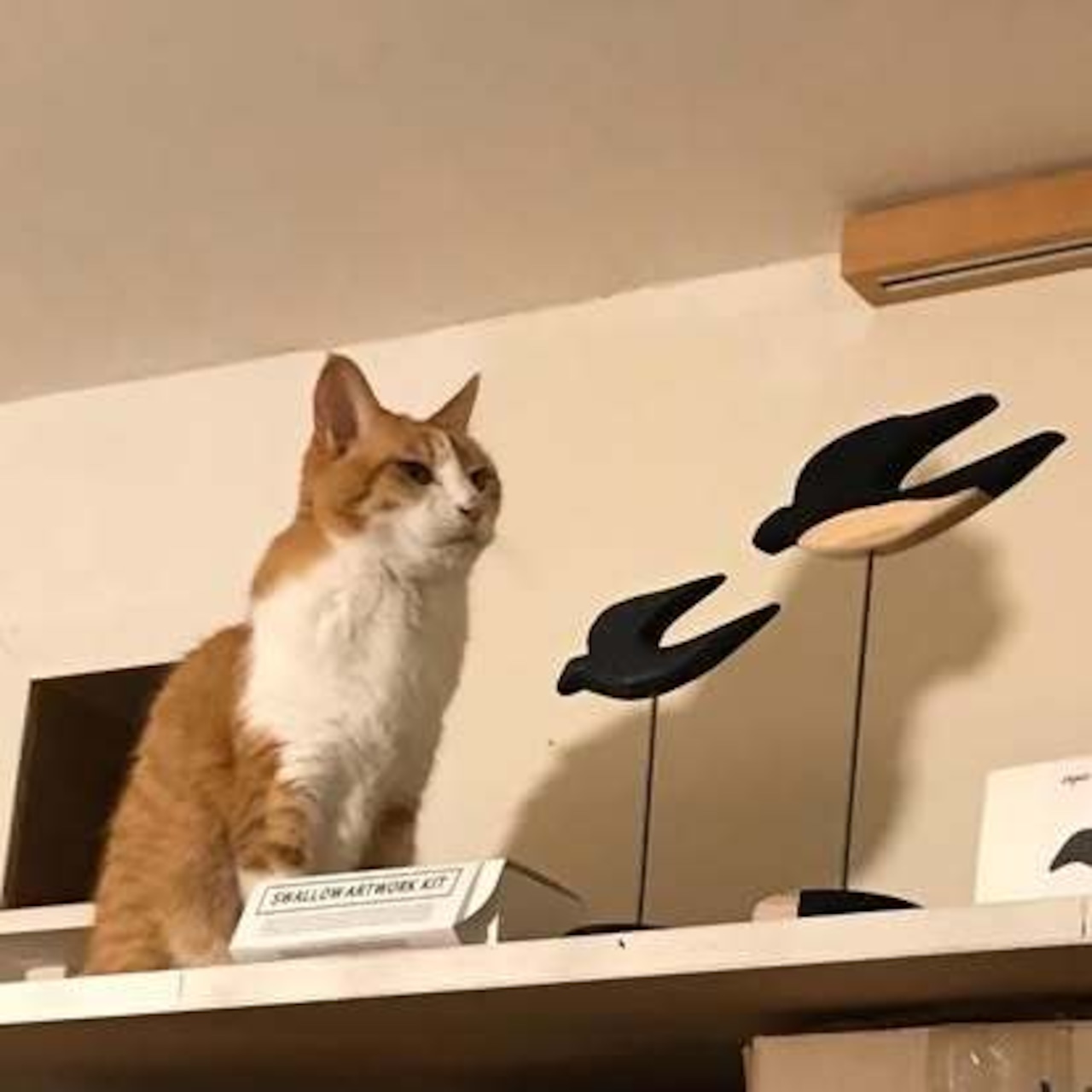 ツバメのオブジェを作る ツバメのアートワークキット SWALLOW ARTWORK KIT