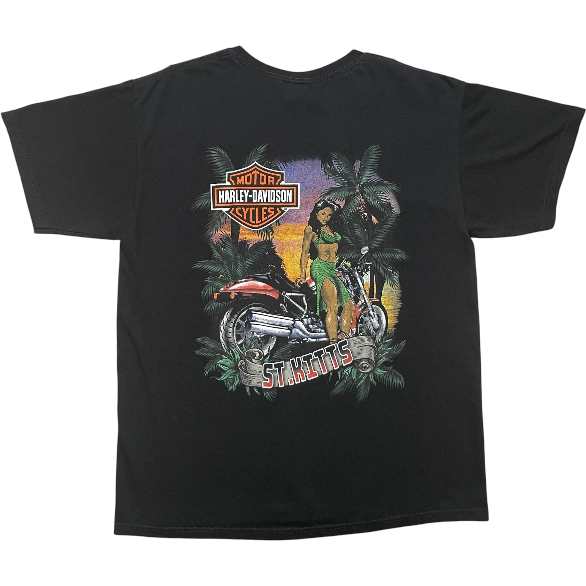 《L》 Harley-Davidson ハーレーダビッドソン Tシャツ バイクプリント 両面プリント ブラック no.10521