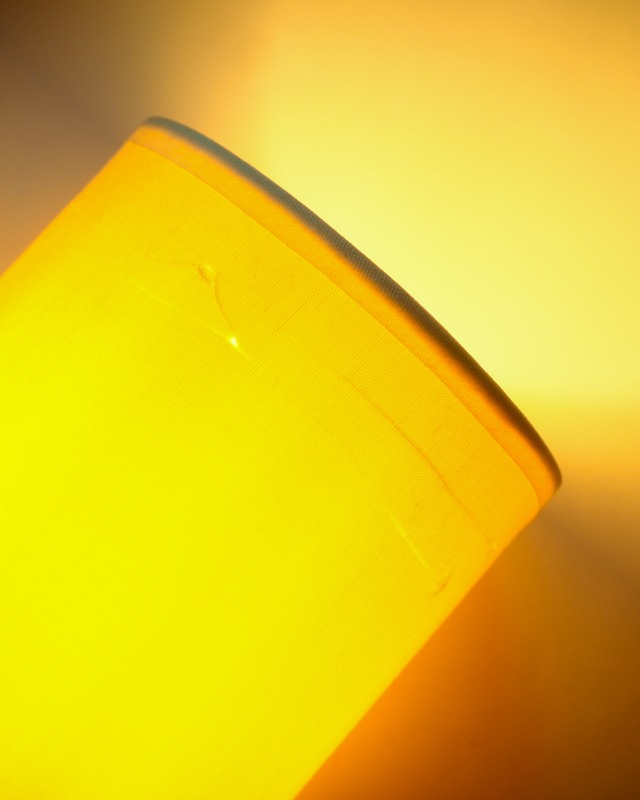 2008 Shade lamp with a wooden base