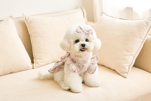 即納【kiki&nini】アメリーローズワンピース　(pink)