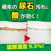 サンポール (マイナスイオン) トイレ洗剤 尿石除去 500mL