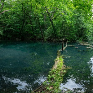 エメラルドグリーンの湖水を湛える“鳥沼公園”