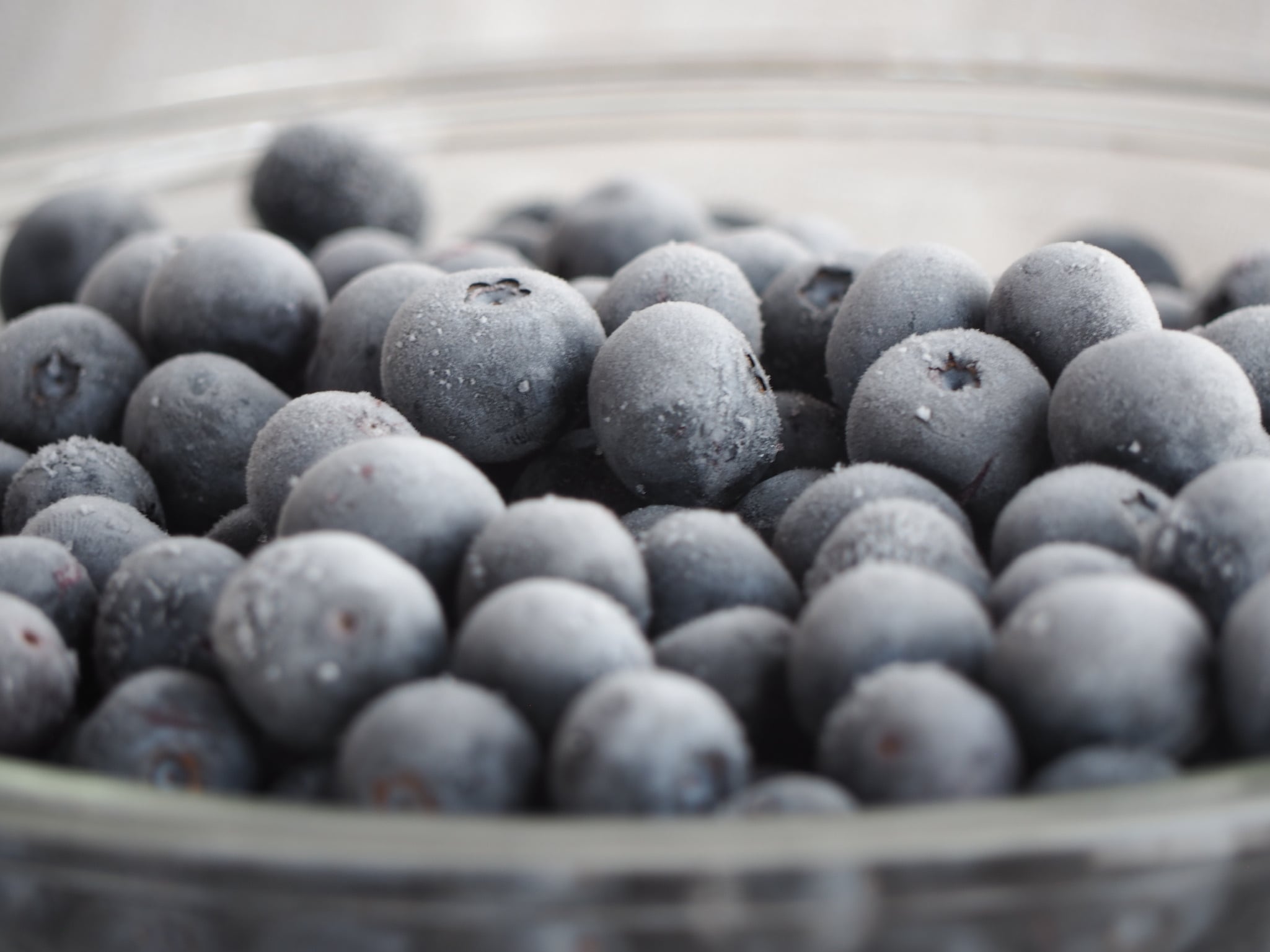 Blueberry Farm SUZUKI