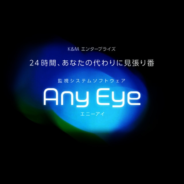 【パソコン画面がセンサーになる!】AnyEye PRO（エニーアイプロ）Windows画像監視ソフト IoTで監視 監視カメラ 不審者の監視 ペットの監視