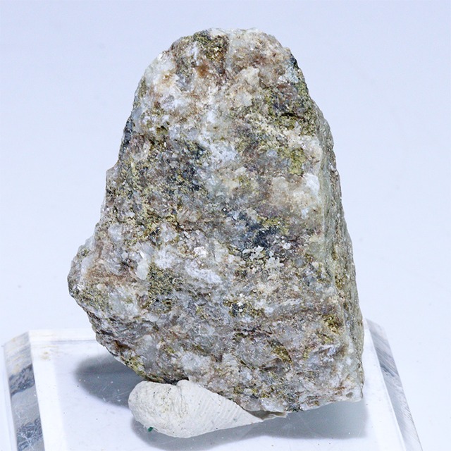 〔D456-14〕国産希少 杉石 スギライト 愛媛県岩城島産 Sugilite 原石 鉱物