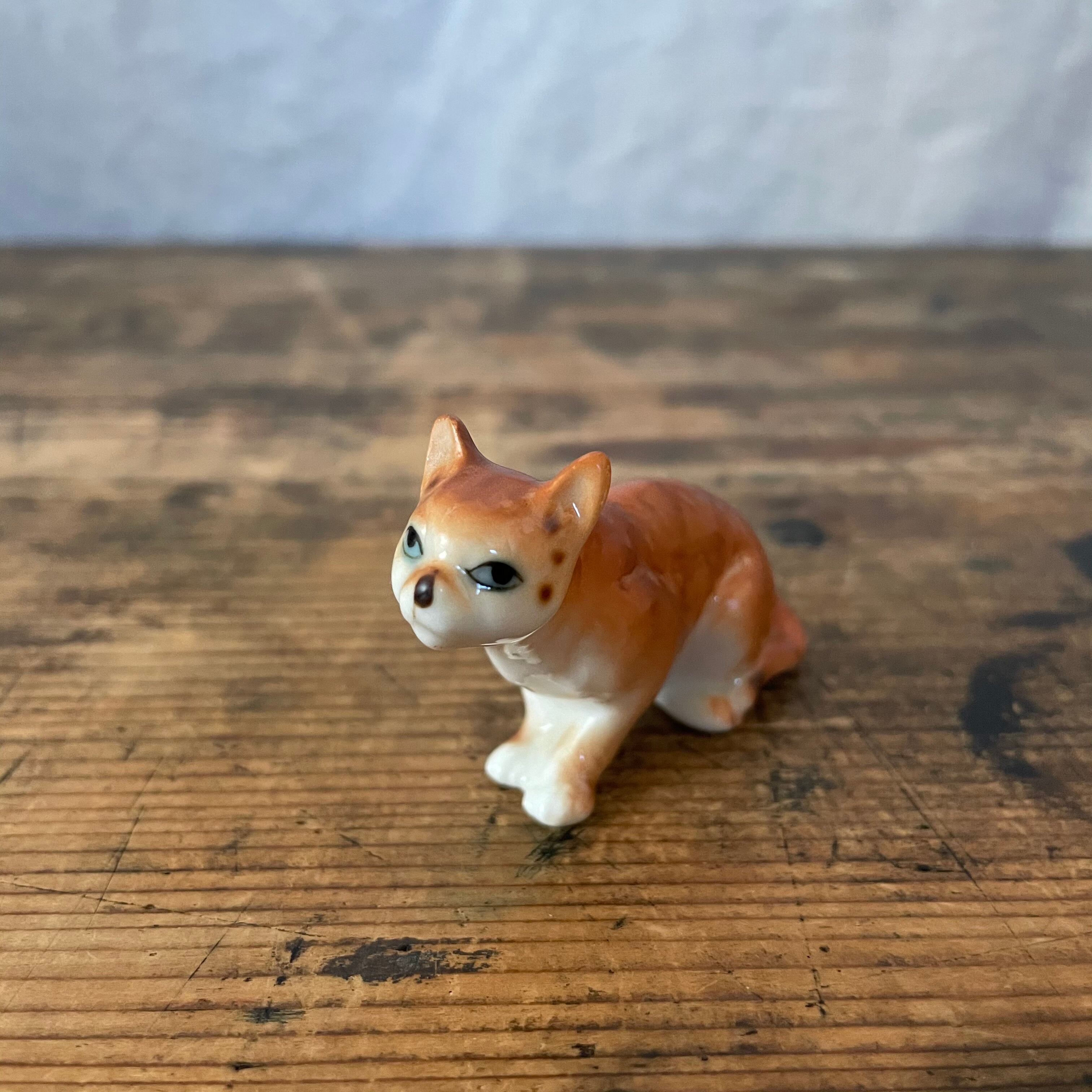 獲物を狙うネコ