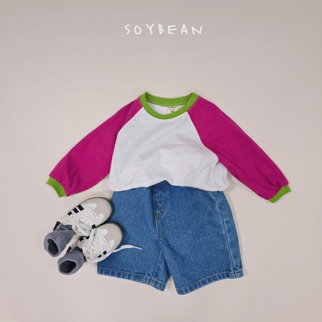 《送料無料》予約:ビンテージラグランT【soybean】