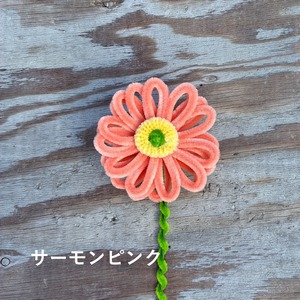 gerbera 〜colorful series〜 ガーベラ カラフルシリーズ【1本単体】 | fuwafuwa flower