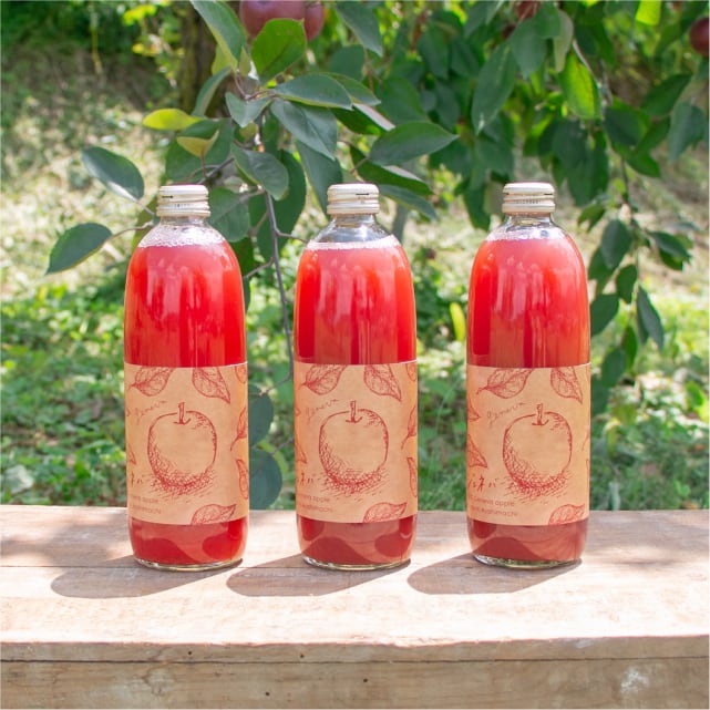 ぱれっと ジェネバジュース ペアサイズ3本セット | Office K&M