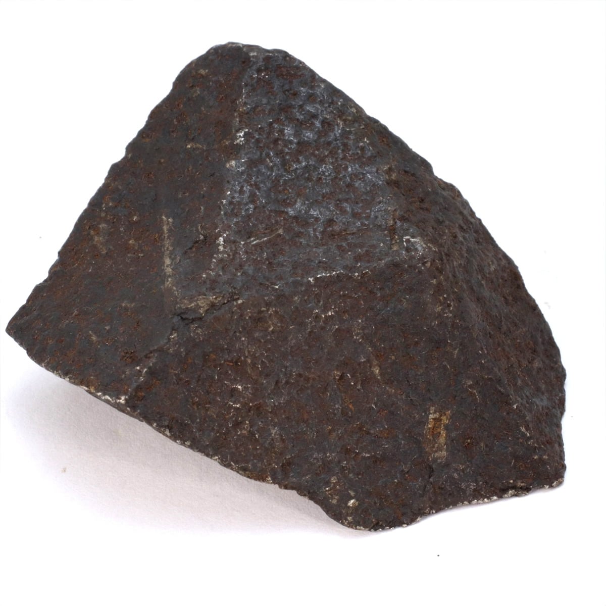 キャニオンディアブロ 隕石 124g オクタへドライト 鉄隕石 原石 M2507 キャニオンディアブロ 隕石 124g オクタへドライト 鉄隕石 原石