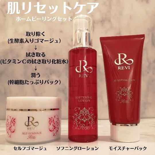 REVI ハンディスプレーガン フェイスケアシステム ホームケア REVI ハンディスプレーガン フェイスケアシステム ホームケア REVI